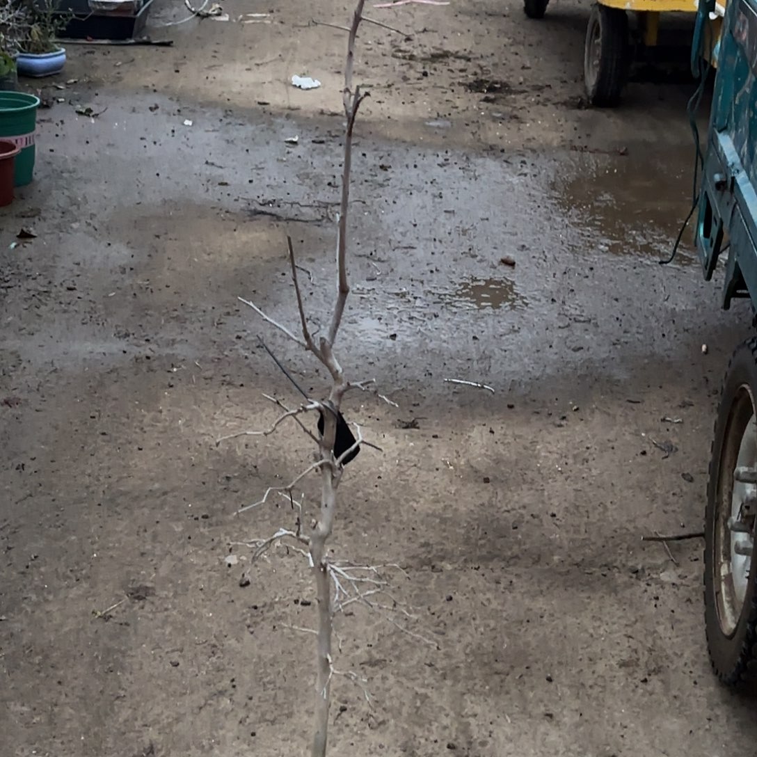 祈***下哈哈哈哈哈哈哈哈哈哈