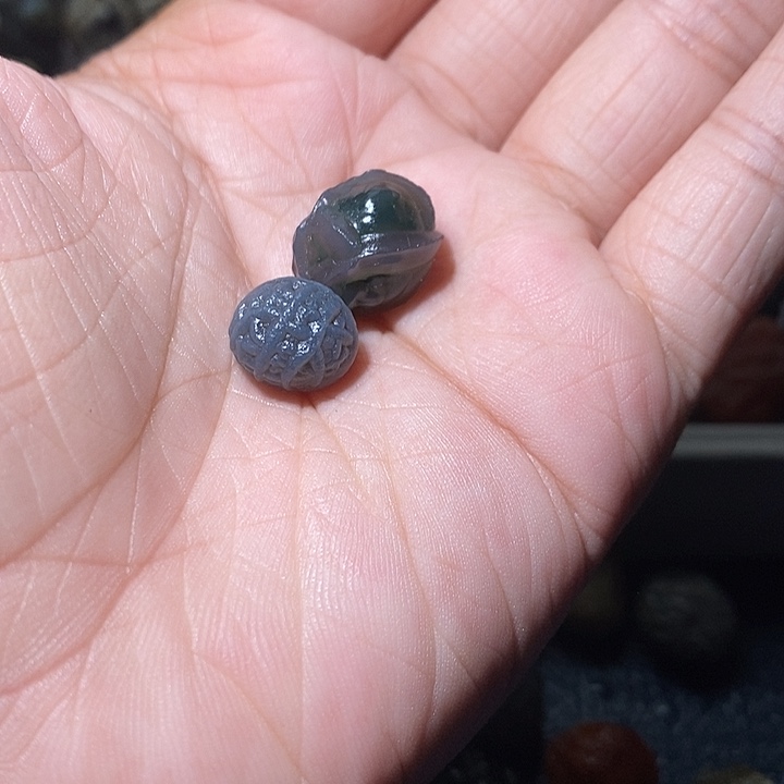 石头弓*长精品筋脉单科