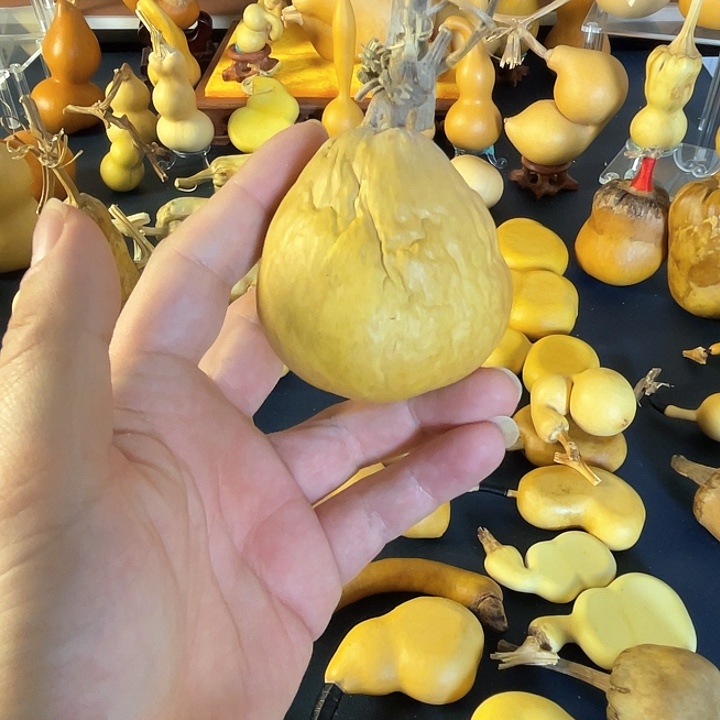 绒面幸**狗非公经济很高贵斤斤计较哈共和国