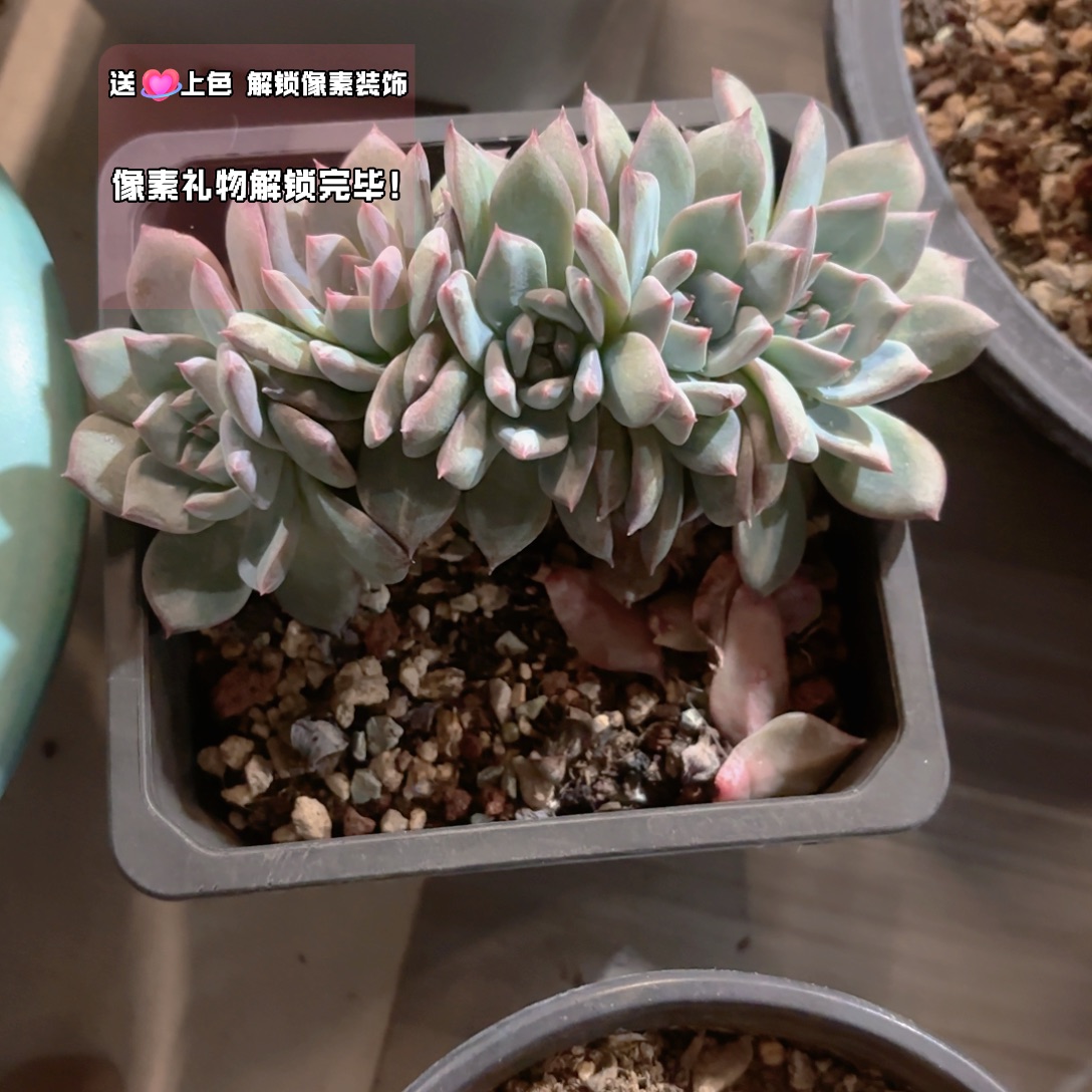 尘***我们的确需要一种新方式