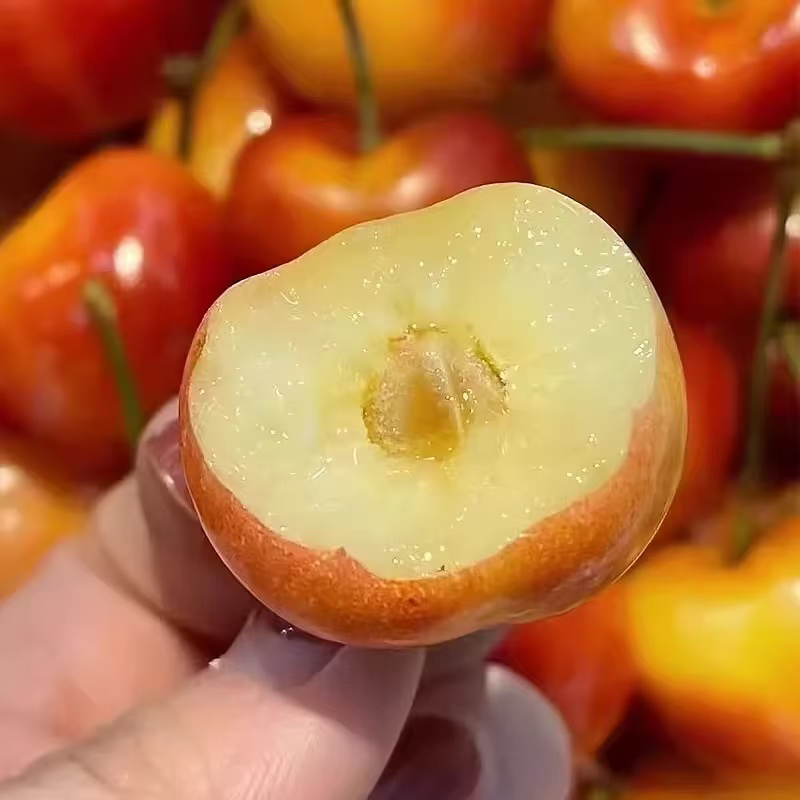 【京东顺丰次日达】3黄车厘子雷尼尔海运5J1件4.4斤起新鲜内附果径卡雷尼尔樱桃智利共和国