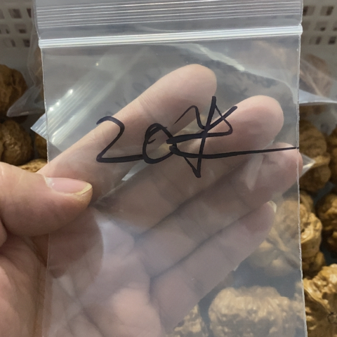 老***炮文玩核桃把件哈哈哈