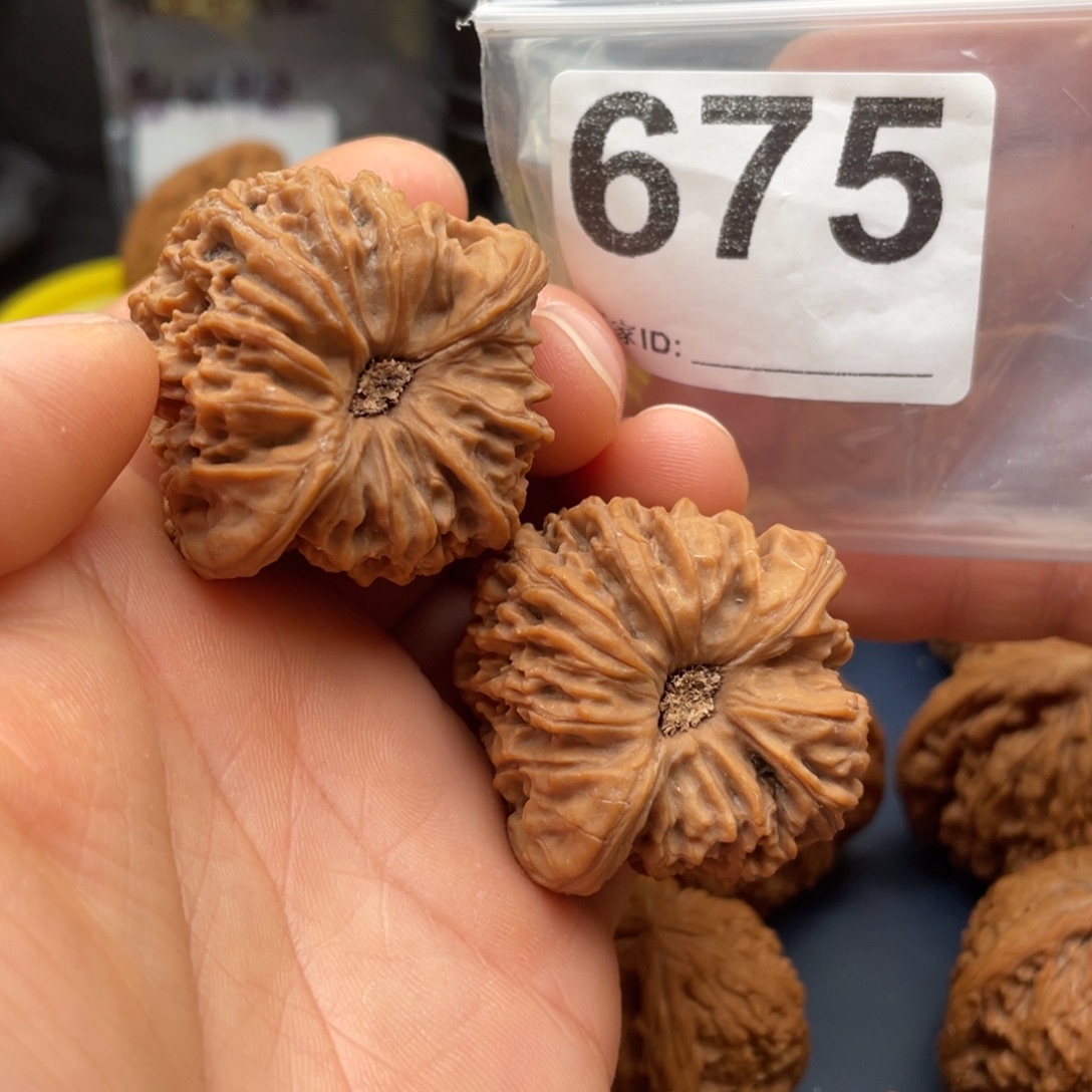 文玩核桃把件南疆凹底卷边40