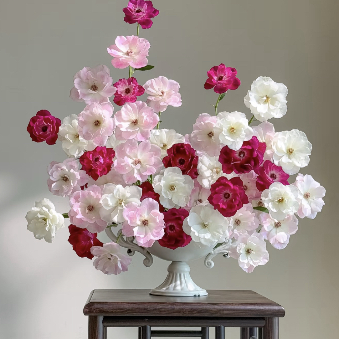 三色冰山（花物语）-多头玫瑰（任意两单包邮，一单需要补运费）