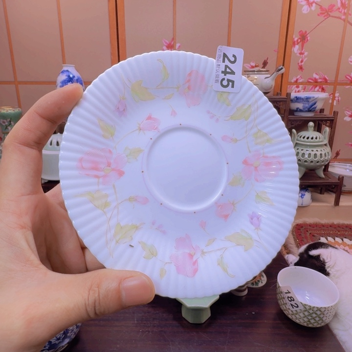 碗245啊啊啊啊啊啊啊啊啊啊啊啊