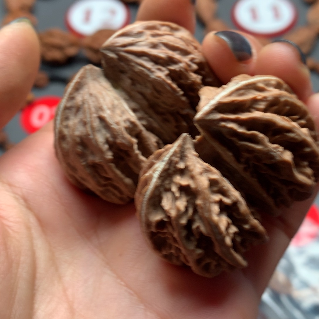 核桃23双棒有虚尖