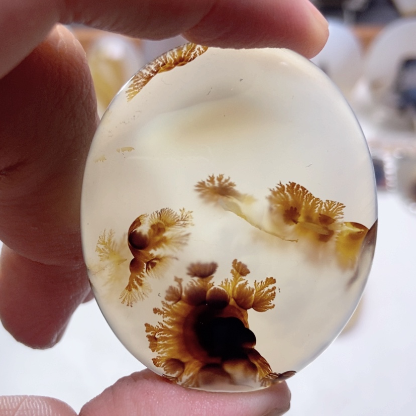 【闪购商品】玛瑙/玉髓颈饰未镶嵌