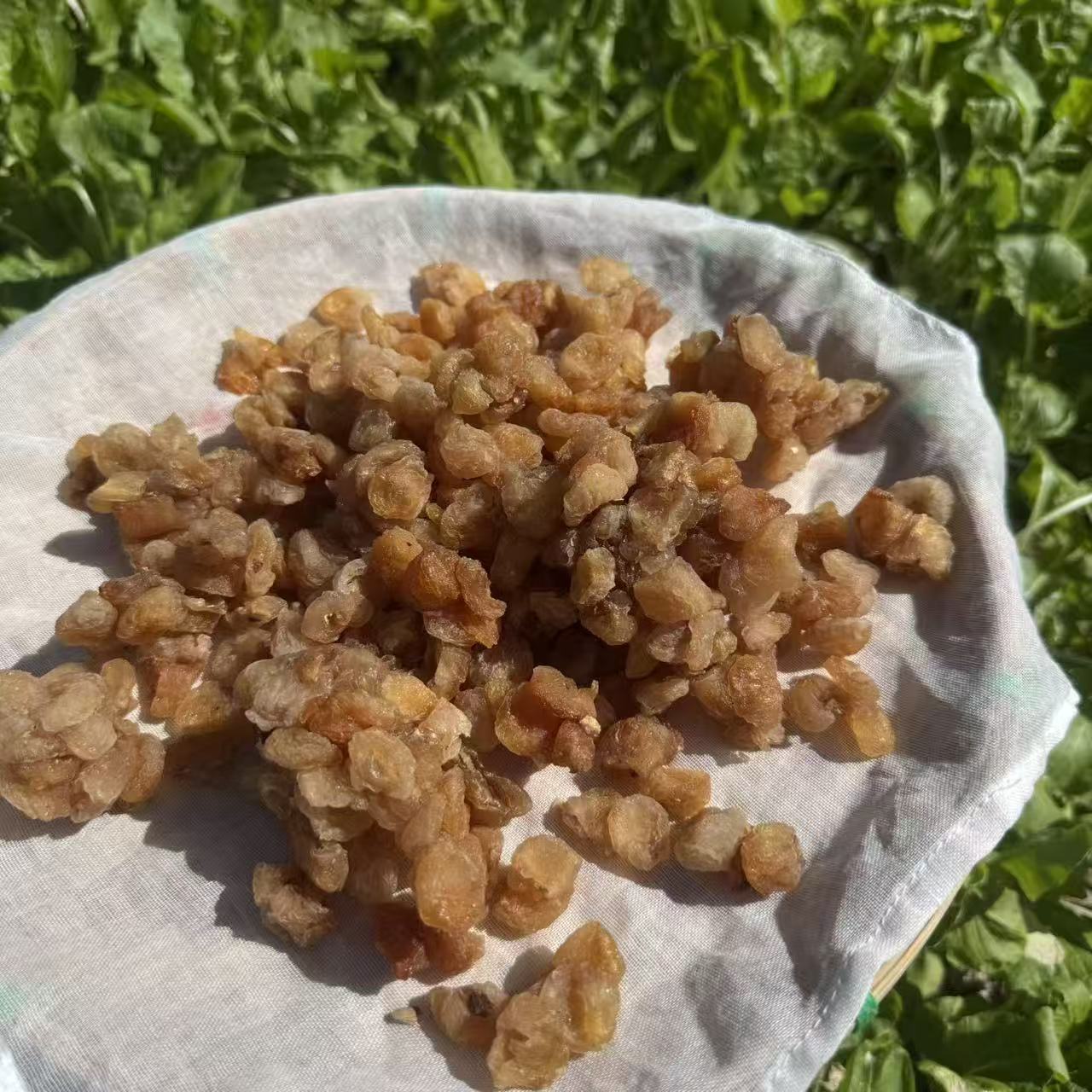 正宗桂圆肉 可即食