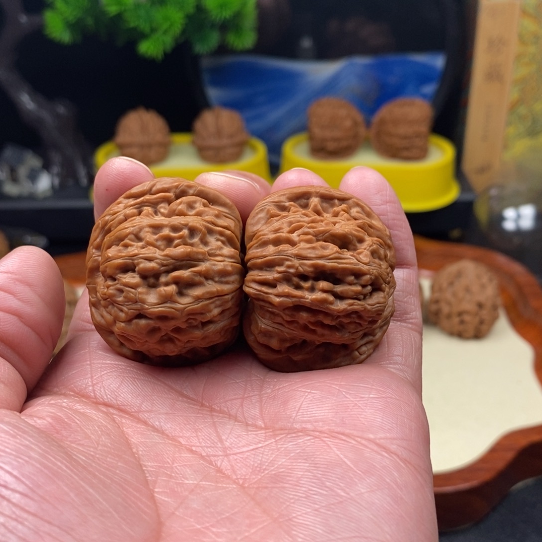 奥***3核桃全品汉高楼40