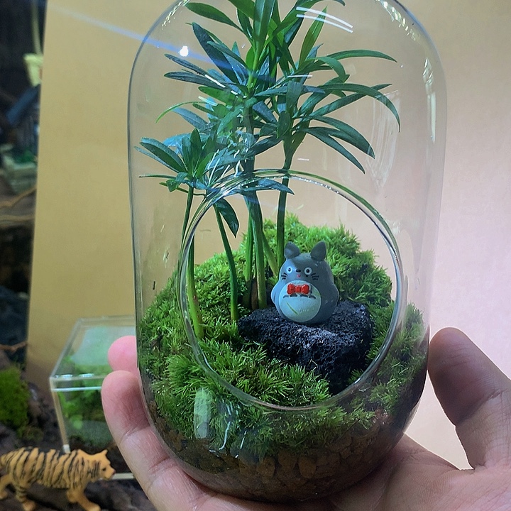 无花朵福利福利景观小黄人