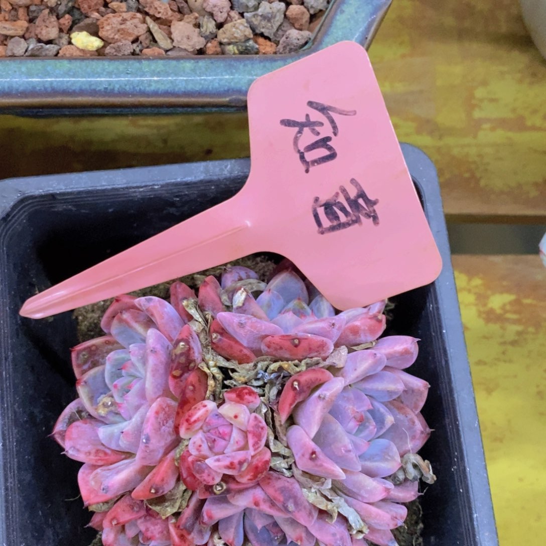 清货专场，满5宋1了