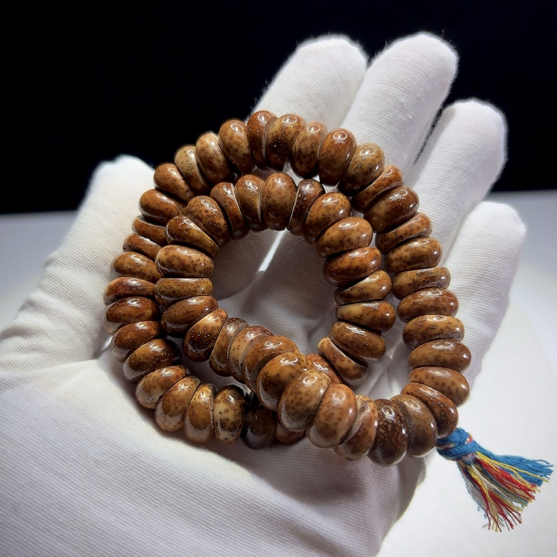 一物一图【脱脂陈籽】13马蹄，海南毛感料脱脂虎皮陈籽，针尖星。