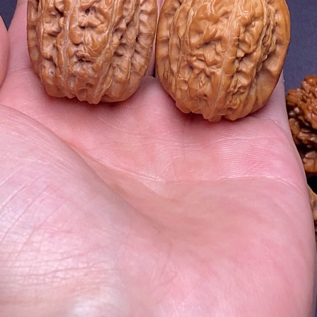 核桃手串/手链30赤龙鸡心