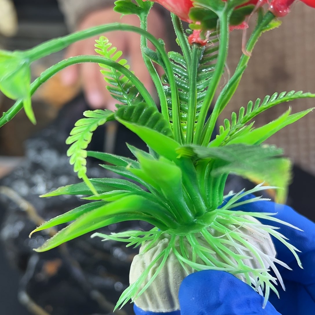 石头云*树有意境的花盆