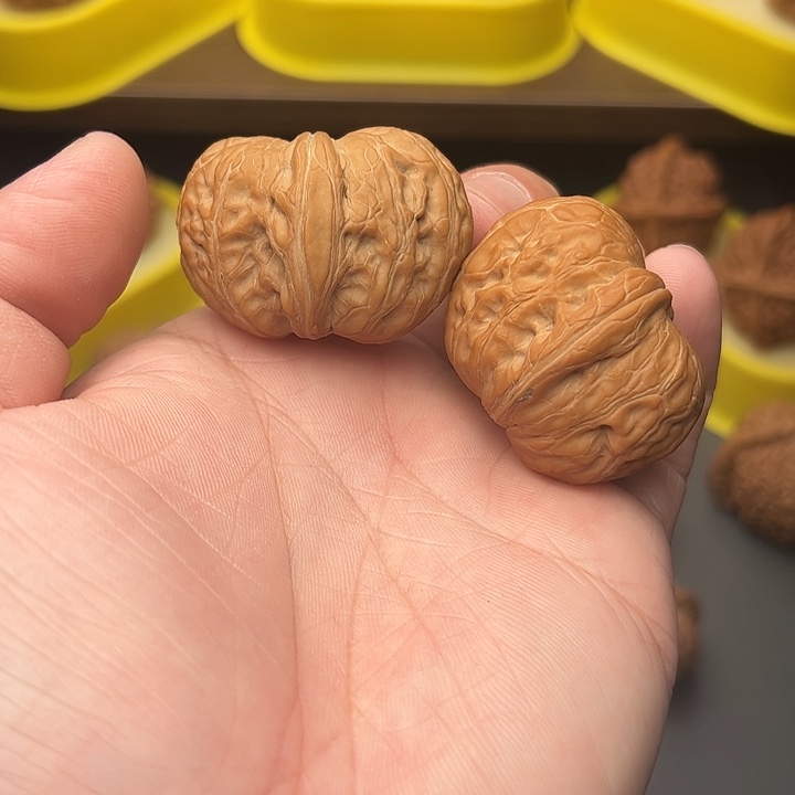 41尺寿星头元宝不退不换