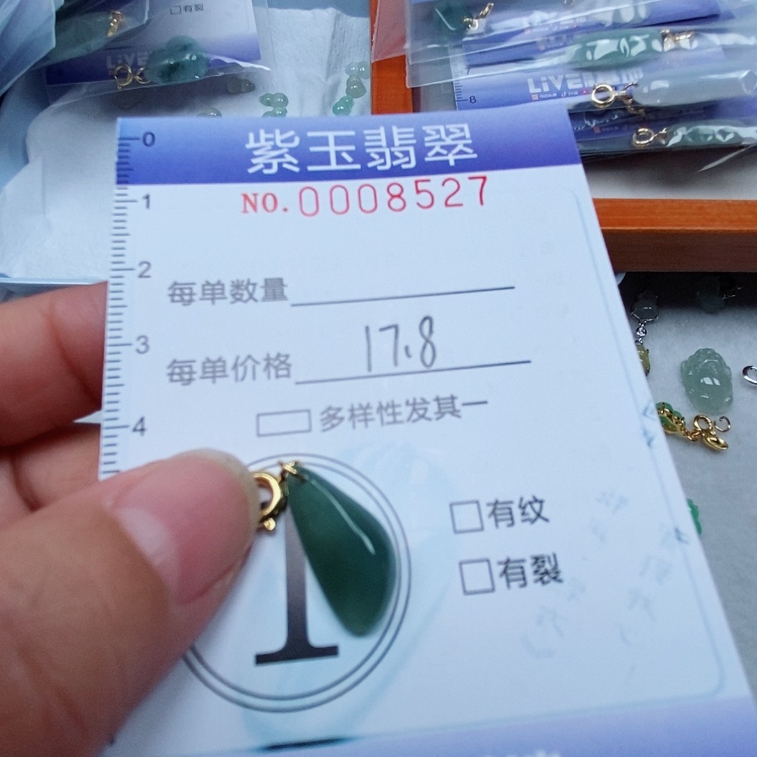 颈饰未镶嵌翡翠冰胶随行
