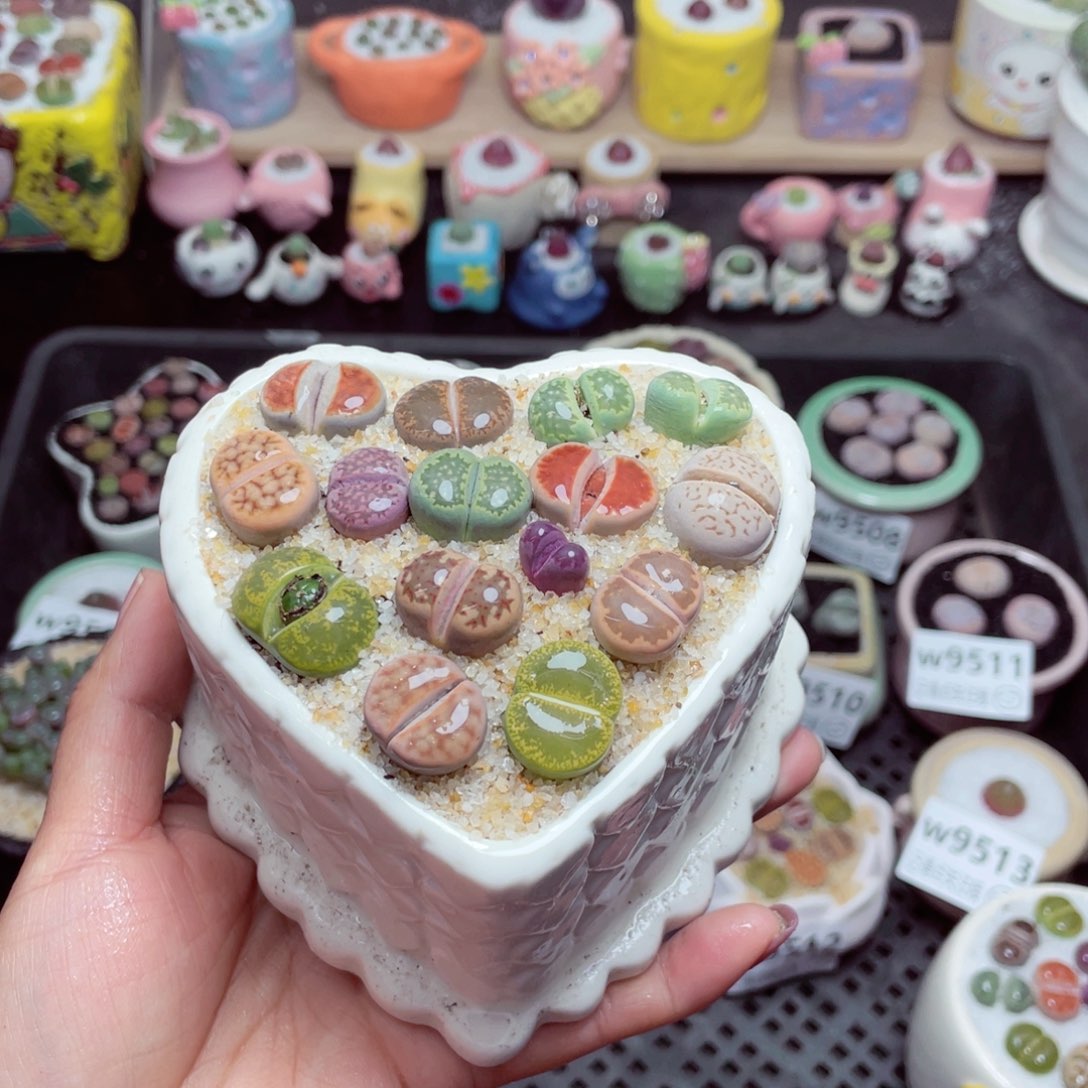 w9517 带盆土发货-零下地区拍保温箱