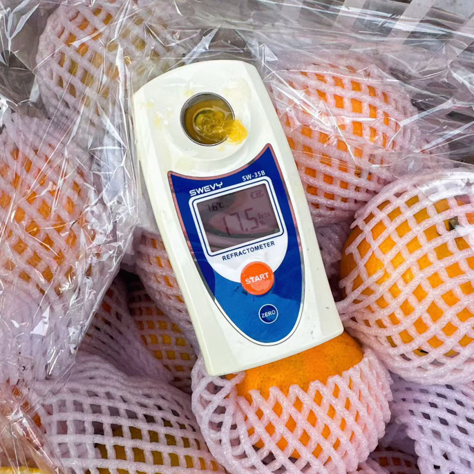 湖南芷江阿蜜达，皮薄肉嫩，纯甜口湖南省