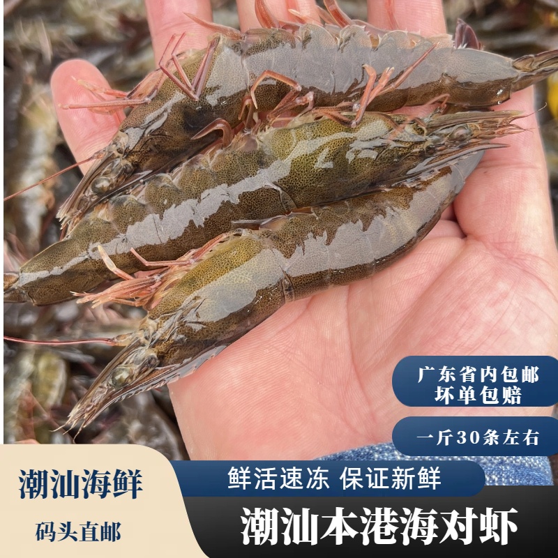 对虾新鲜鲜活冷冻潮汕海鲜水产海虾白虾白刺虾大虾特大号基围虾
