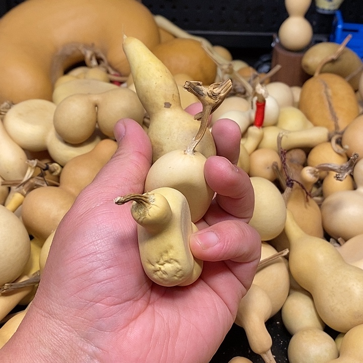 长*精品葫芦手把葫芦42