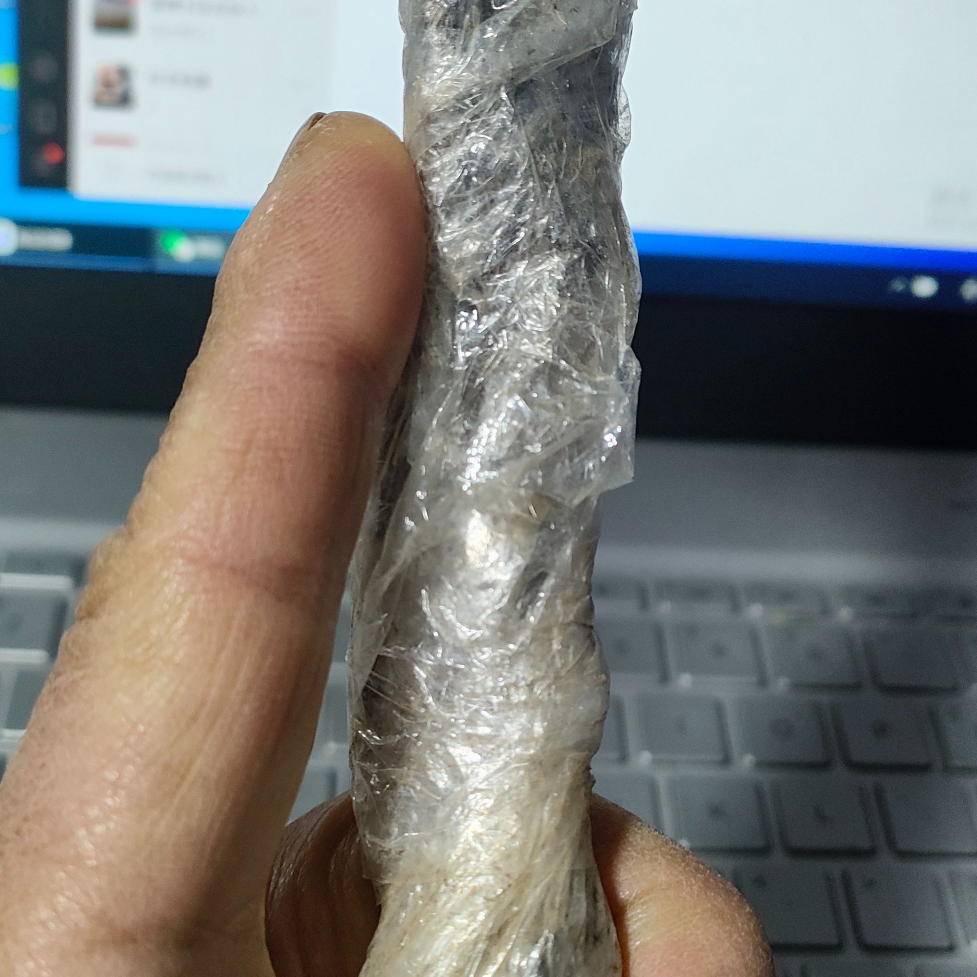 北美冬青公树授粉根部粗度1-2公分高度30公分