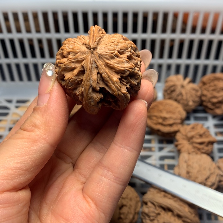 沉***D文玩核桃把件核桃