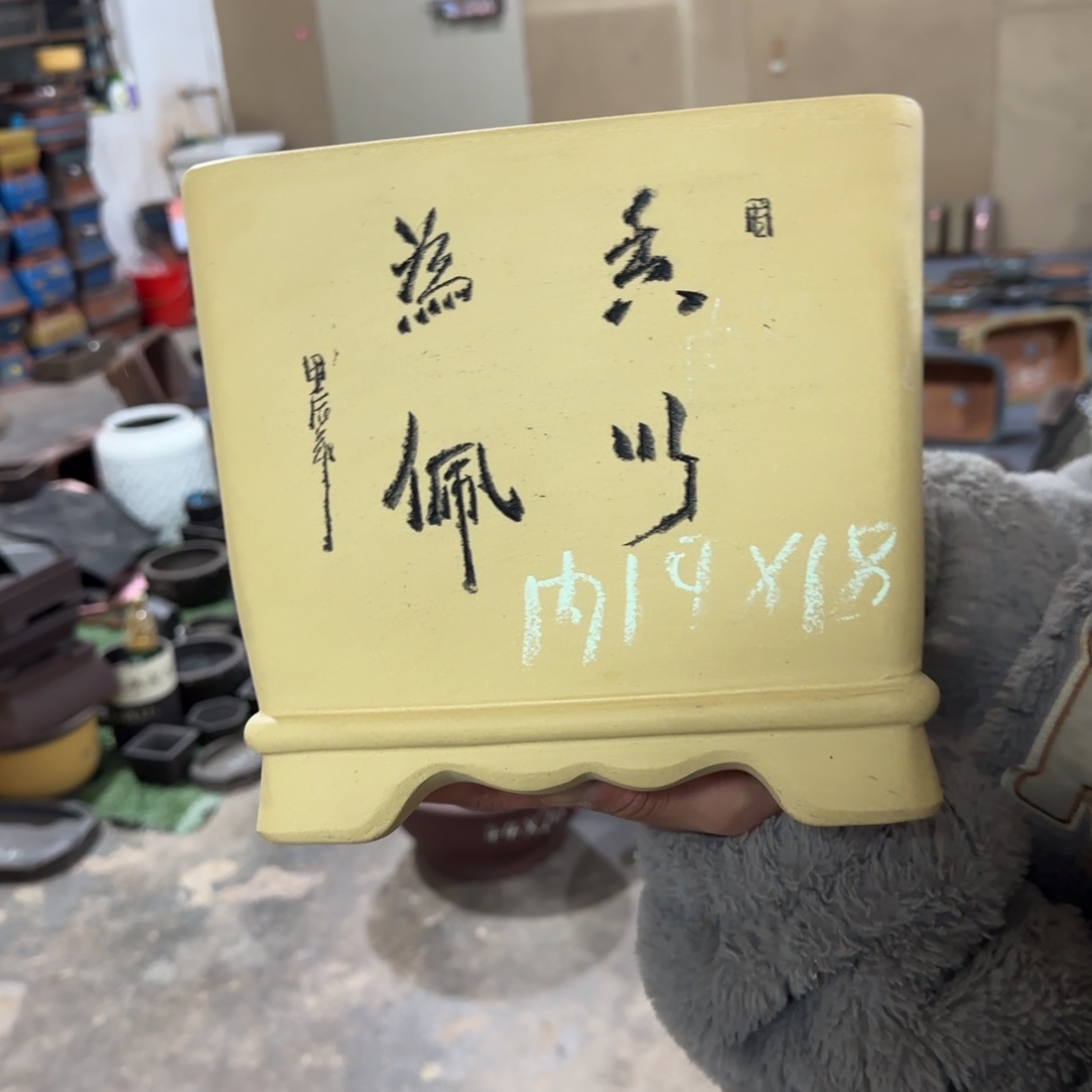 紫砂花盆呜呜呜呜