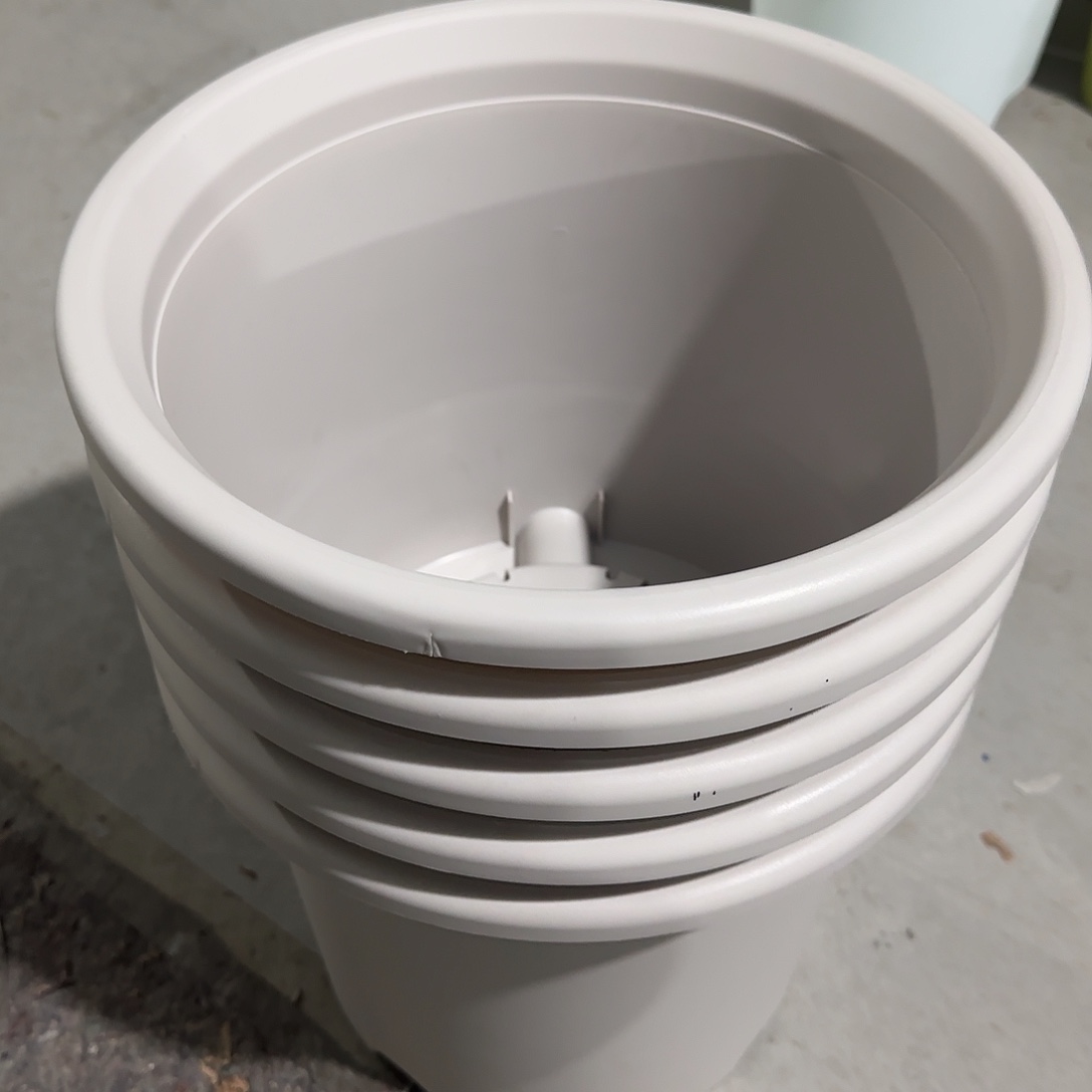 编号3239，6号无托