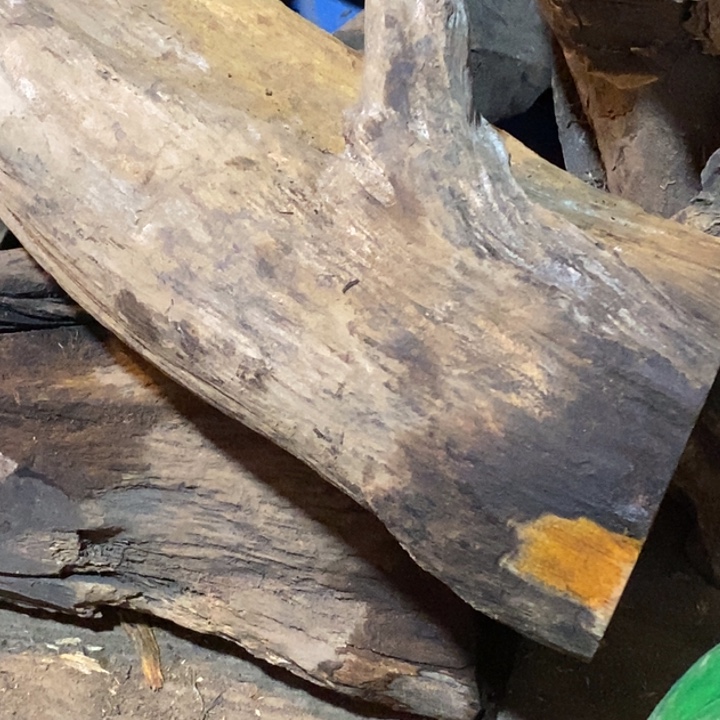 把件贡木?*儿定制不退不换