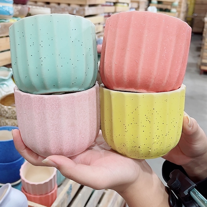 花盆有孔！凑满10米包由！