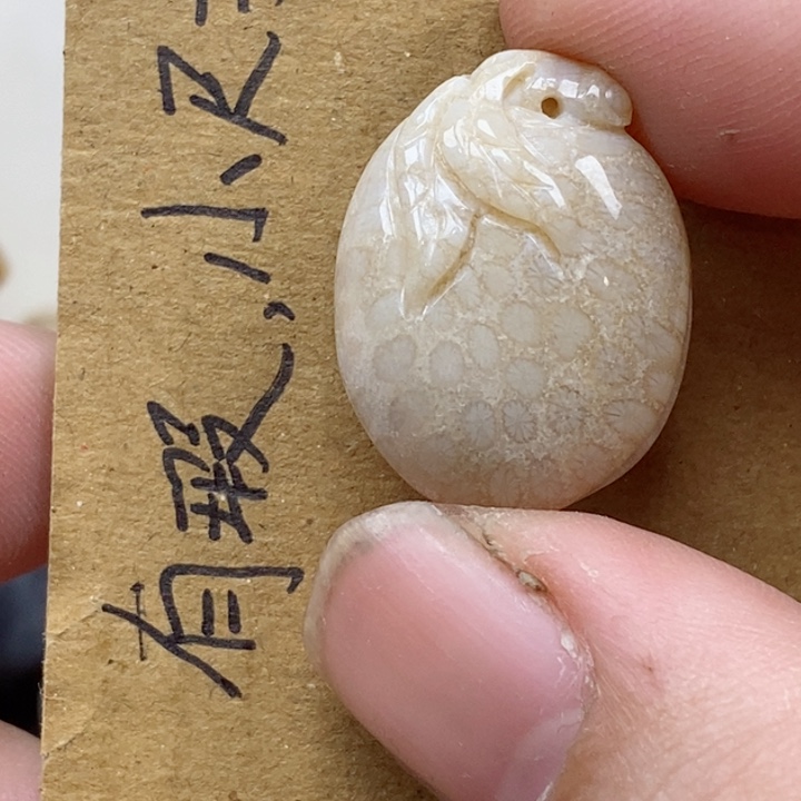 颈饰未镶嵌硅化珊瑚（珊瑚玉）