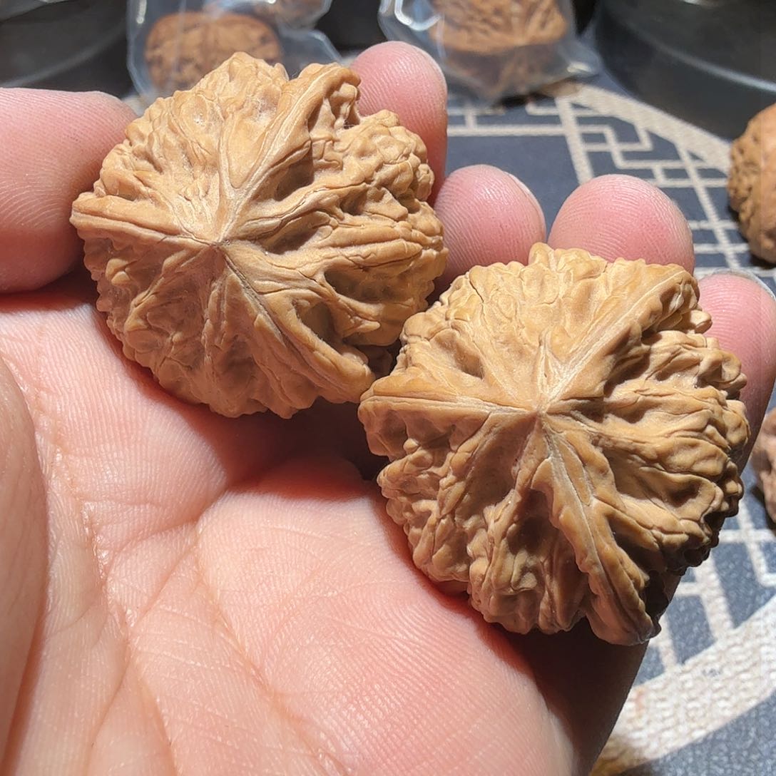 文玩核桃把件御龙