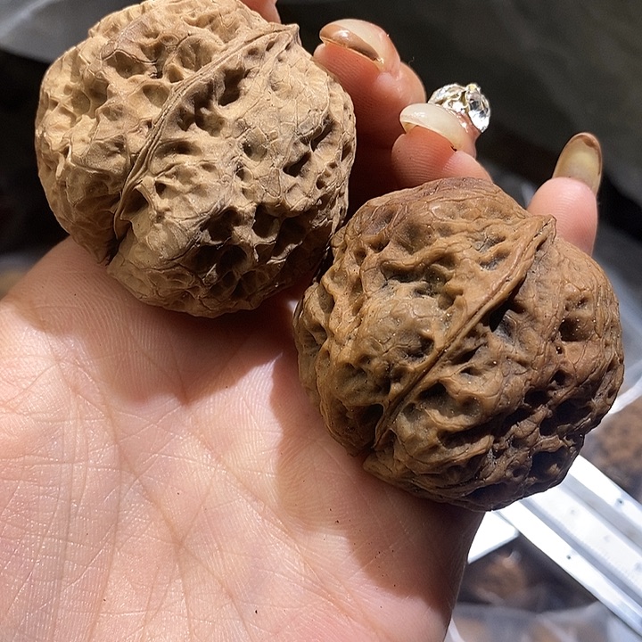 核桃云南野生铁核桃61号43mm