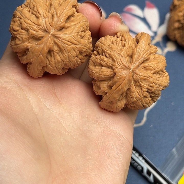 文玩核桃把件粗筋43