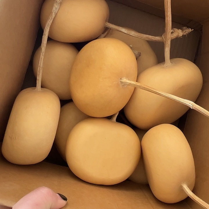 苹果扁10个漂亮厚皮