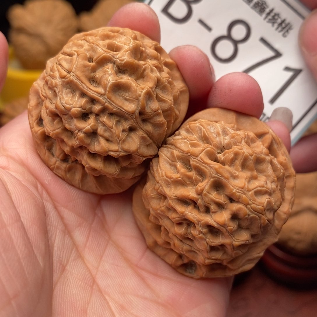 文玩核桃把件核王40