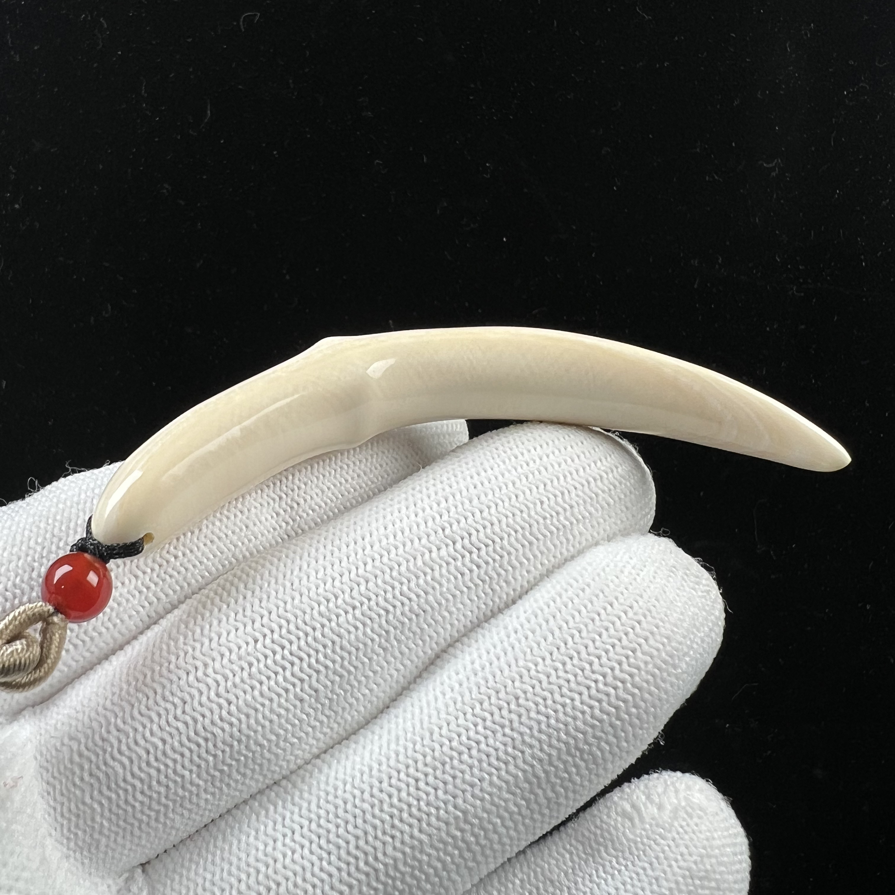 D1773天然猛犸牙雕刻牙尖 76.1mm支持鉴定 假一罚四