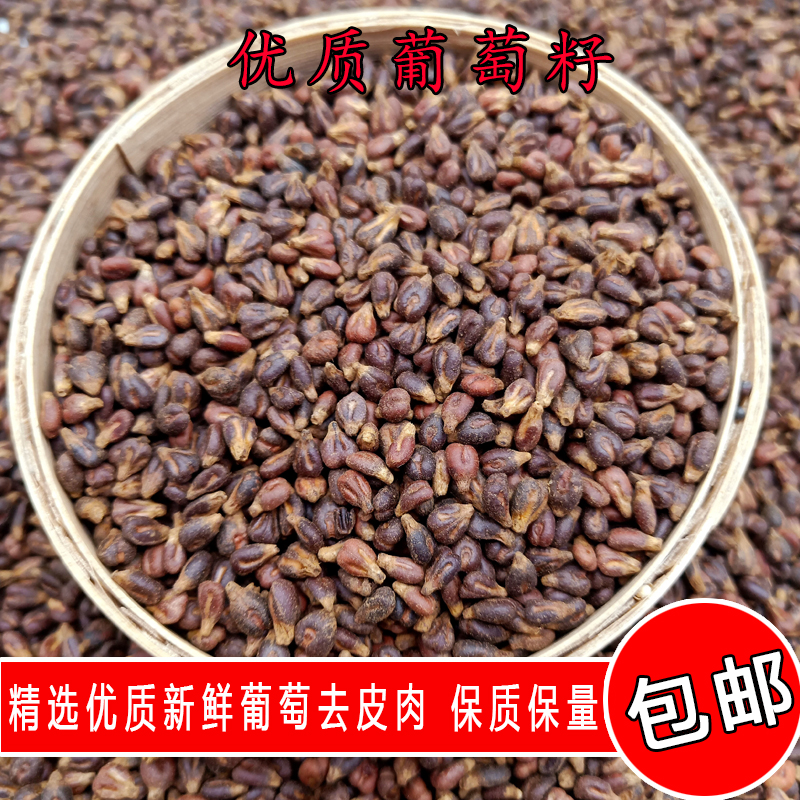 金冠鸽粮精选优质葡萄籽5斤10斤20斤装鸟食赛鸽信鸽观赏鸽子饲料