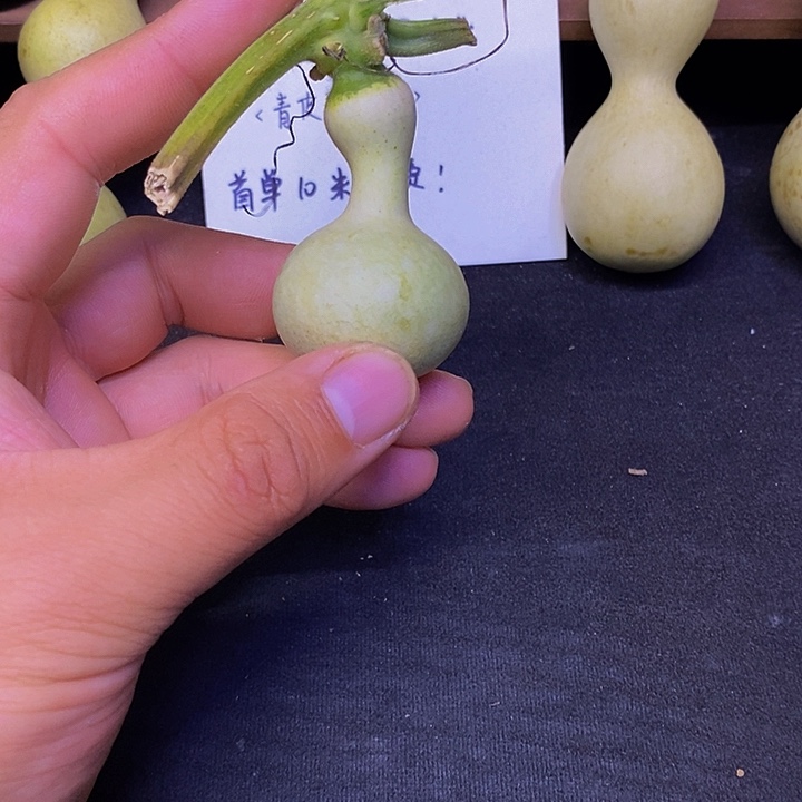 狄*就哈哈哈哈哈哈哈哈哈哈哈这