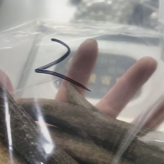 柴***头陶瓷鹿角鹿角鹿角