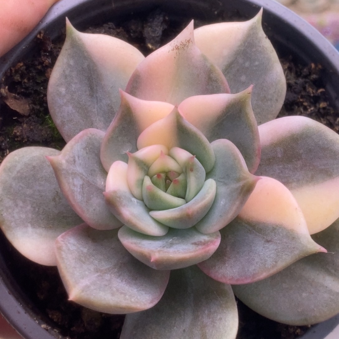 42贝加尔湖锦锦锦锦锦锦锦