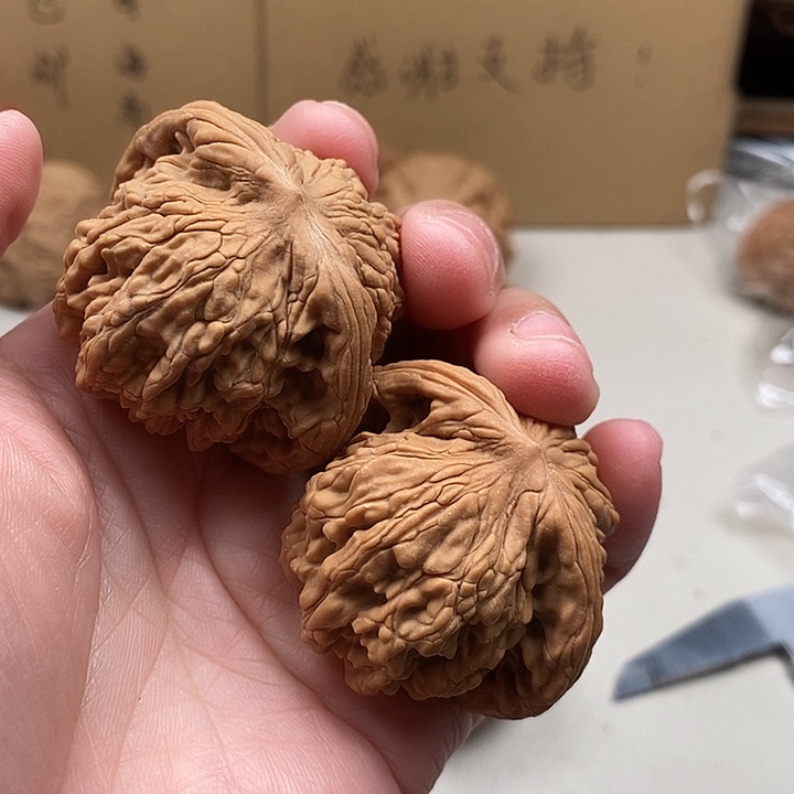 用***5木质类1.1.1.1.1.1.1