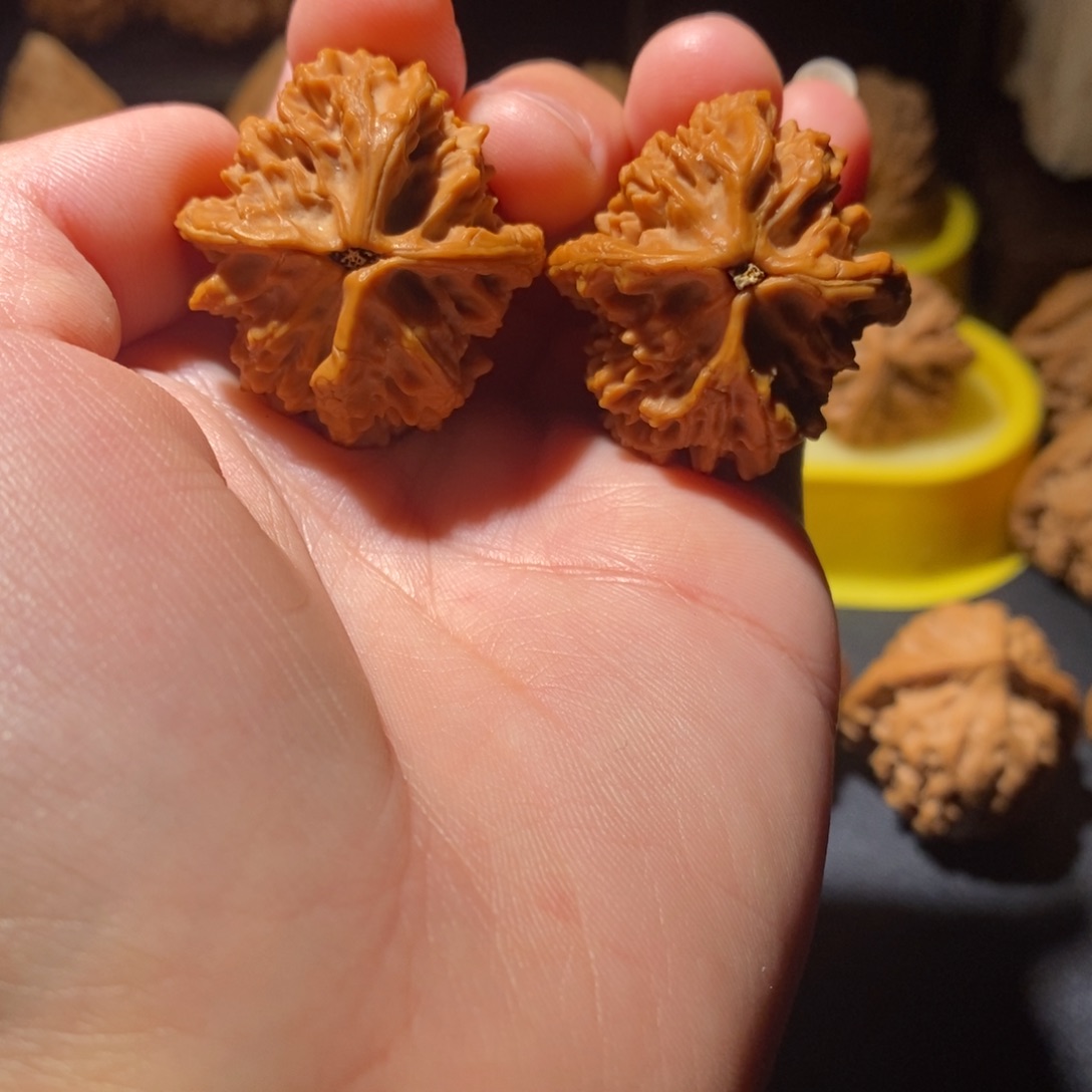 文玩核桃吊坠原树十三鸡