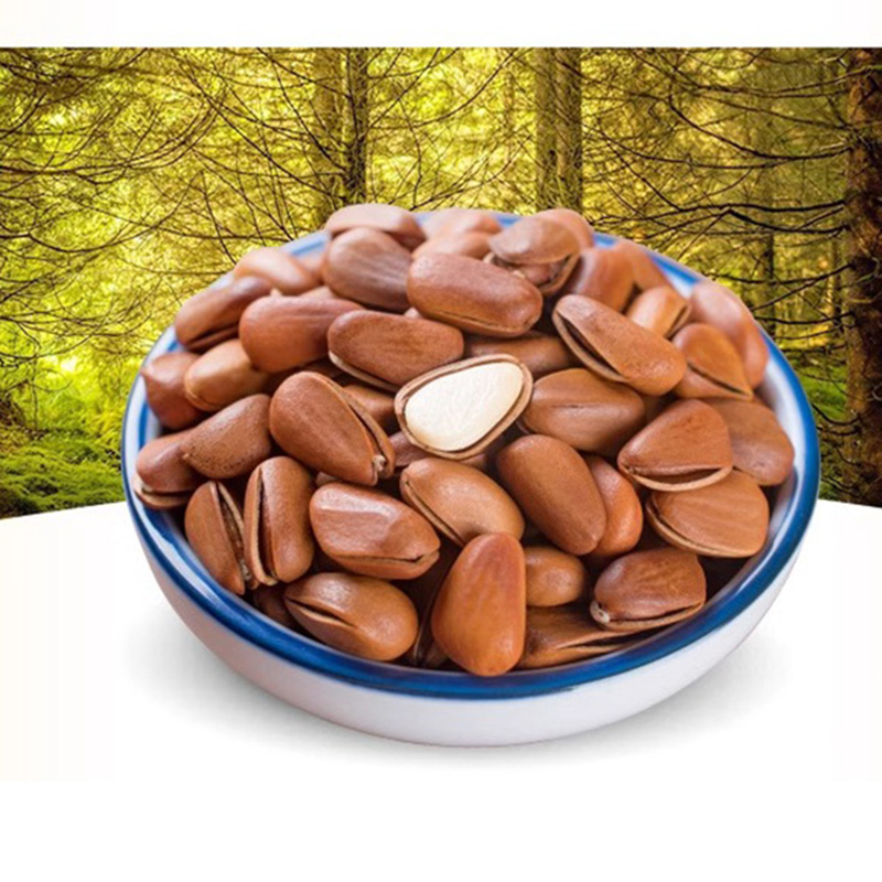 原味松子 中颗粒原味零食散装供应坚果特产 开口松子带壳红松子