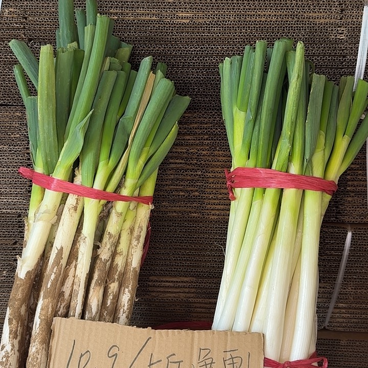 山东铁杆大葱5斤中国大陆