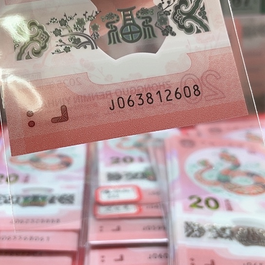 塑料小蛇钞063812608