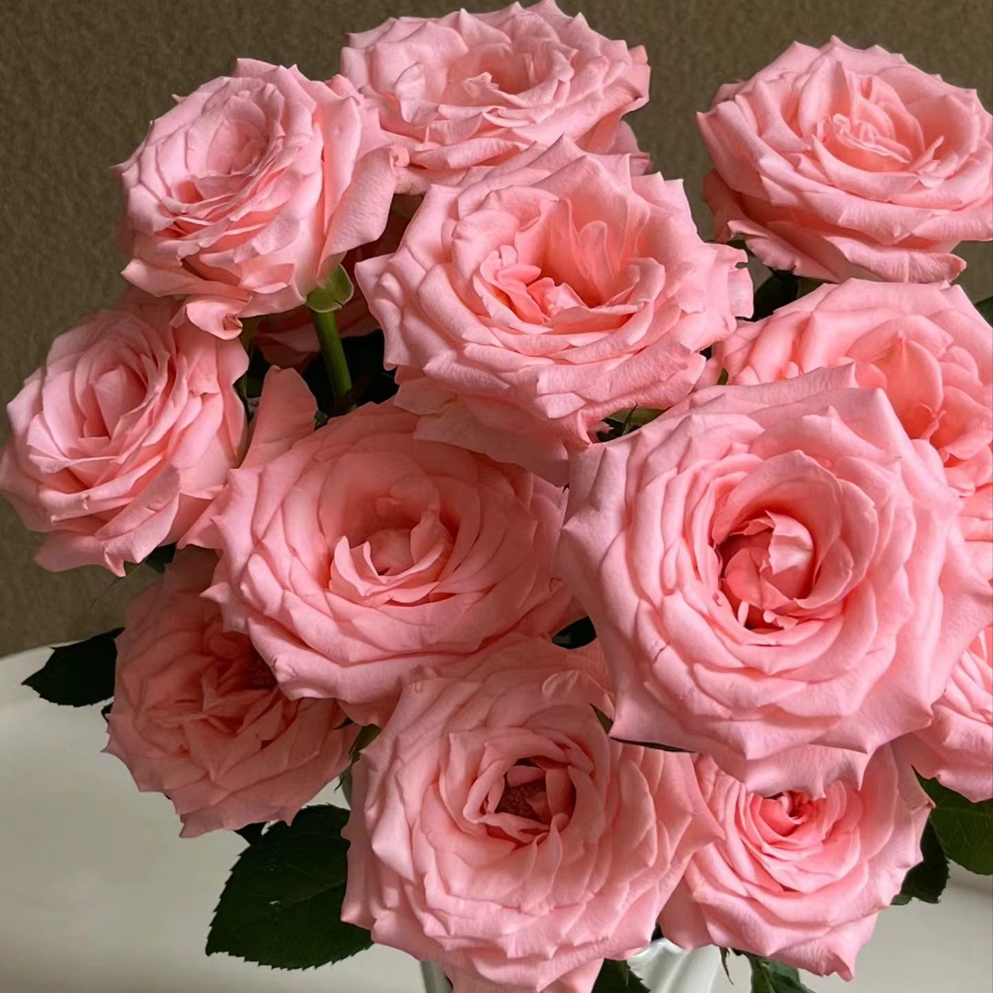 【A3套餐：戴安娜+香槟+香水百合+橙色芭比+非洲菊】