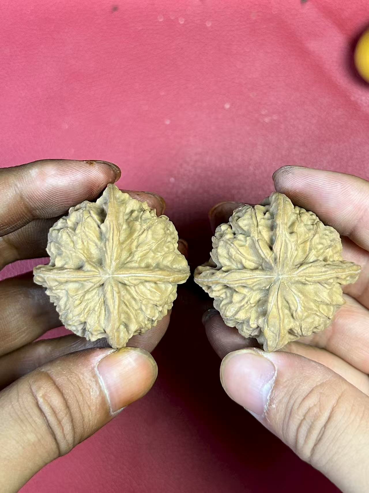 多楞元宝四棱麻核桃