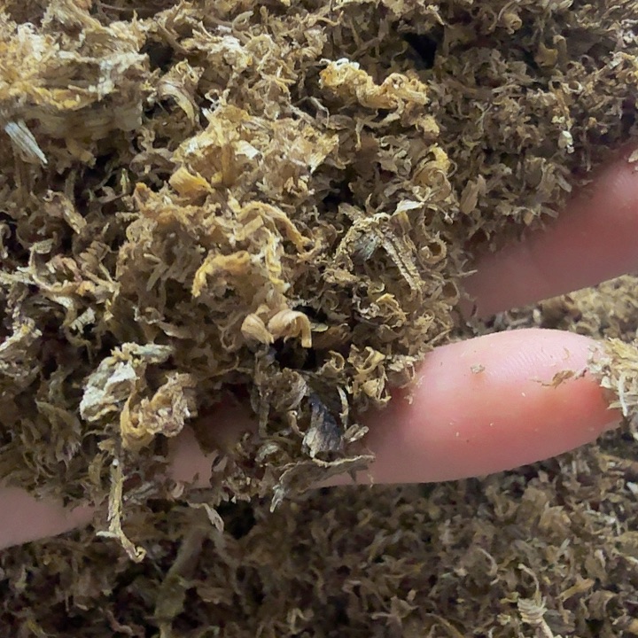 20克，黄棋刨丝多样性发一