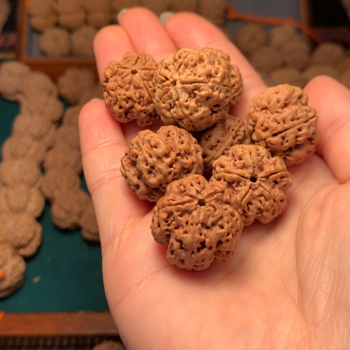 金刚菩提手串小*22尺寸定制梅花
